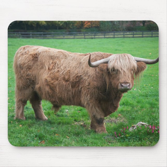 Shaggy Mousemat Mouse Pad (Front)