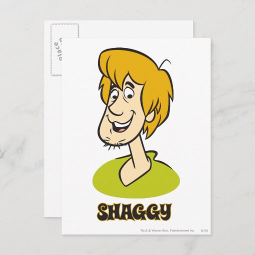Shaggy Name Graphic Postcard Zazzle