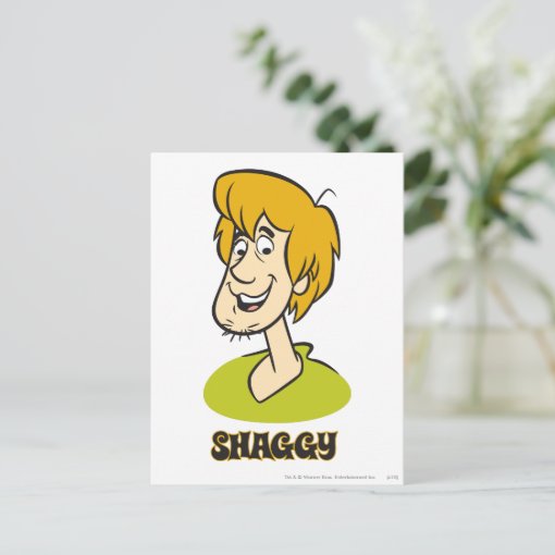 Shaggy Name Graphic Postcard Zazzle