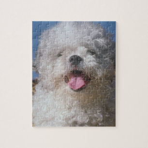 Shaggy Poodle Dog Puzzle