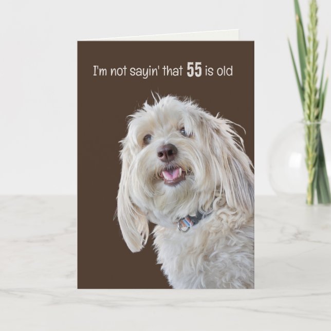 Shaggy Poodle for 55th Birthday Humor Card (Front)