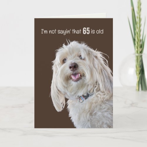 Shaggy Poodle for 65th Birthday Humor  Card