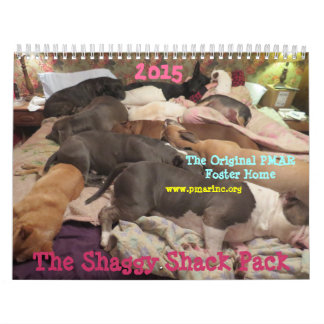 Shaggy Shack Calendar