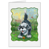 Shaggy Sheep Dog (Front)