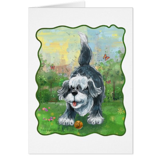 Shaggy Sheep Dog Cards (Front)