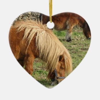 Shaggy Shetland Pony Ornament by HorseStall at Zazzle