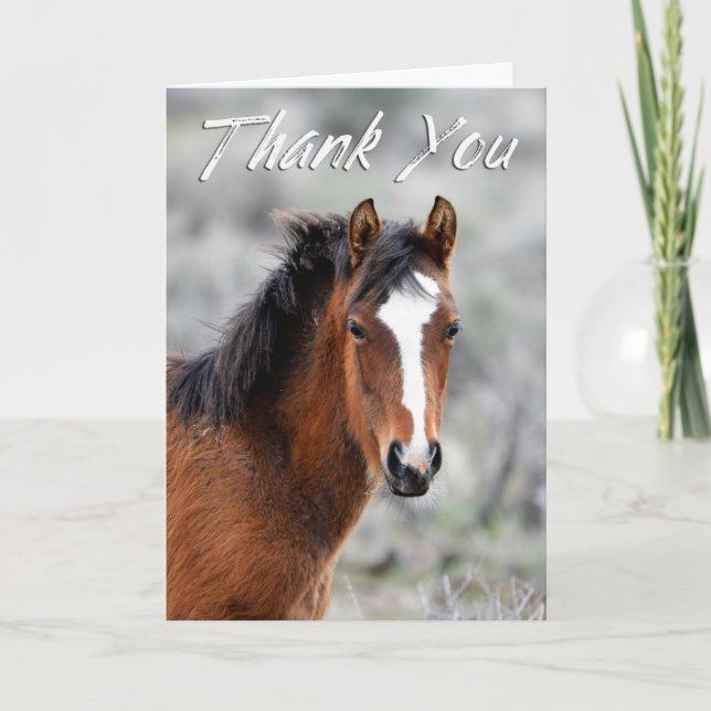 Shaggy Wild Mustang Photo Thank You Card (Front)