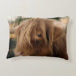 Shaggy Yak Decorative Pillow
