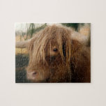 Shaggy Yak Puzzle