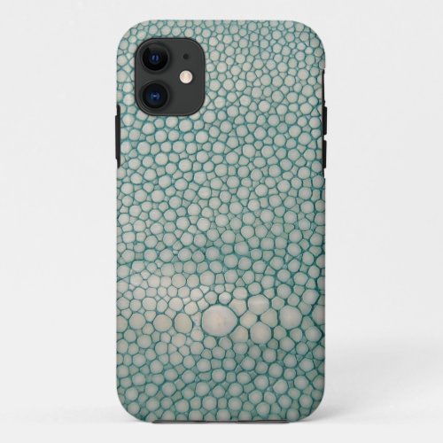 Shagreen Seafoam Green iPhone 11 Case