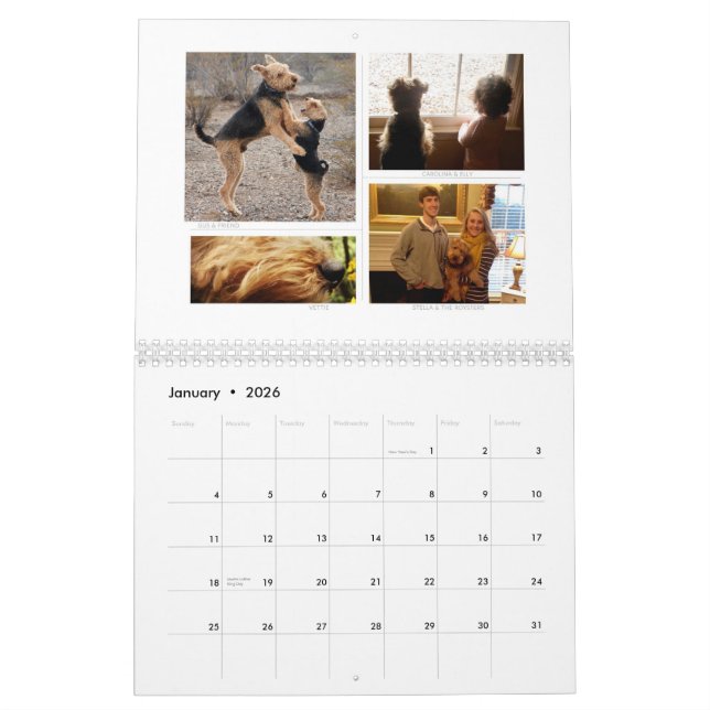 Shaireabs Bayleigh 2014 Welsh Terrier Calendar (Jan 2026)
