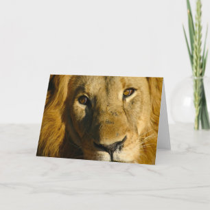 Shaka Eye of the Lion Card