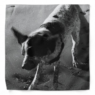 Shake It! Bandana
