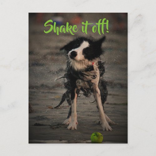 Shake it off postcard