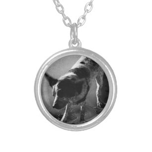 Shake It! Silver Plated Necklace