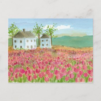 Shaker House Tulips Fields Moving Announcement Postcard by CountryGarden at Zazzle