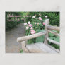 Shakespeare Garden Central Park NYC Pink Roses Postcard
