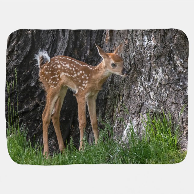 Shaky Legs Fawn Baby Blanket (Horizontal)