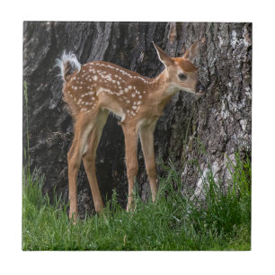 Shaky Legs Fawn Ceramic Tile