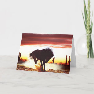 Shall We Dance - Horse Greeting Card