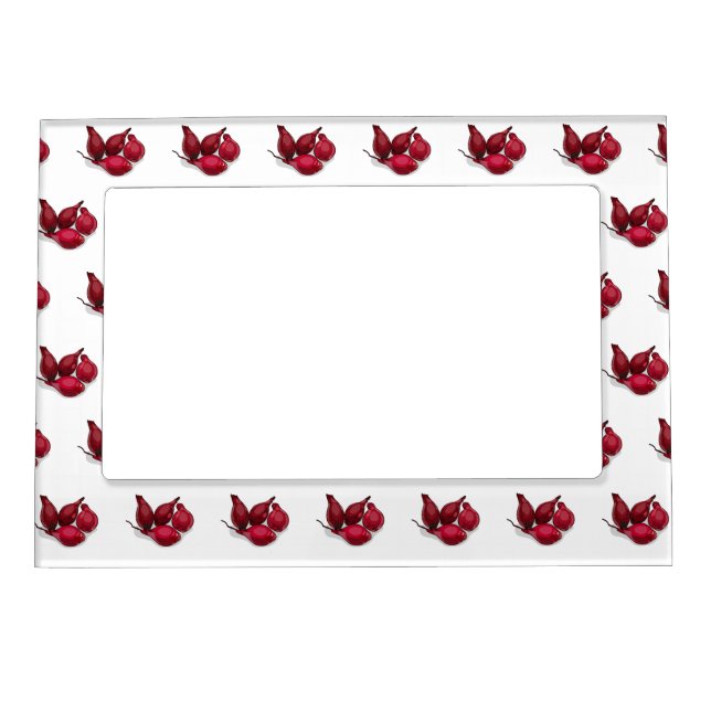 Shallot cartoon illustration magnetic frame (Front)