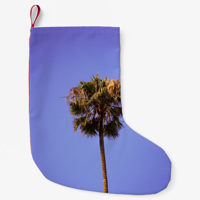 Shallow focus photo of green tree small christmas stocking (Front)