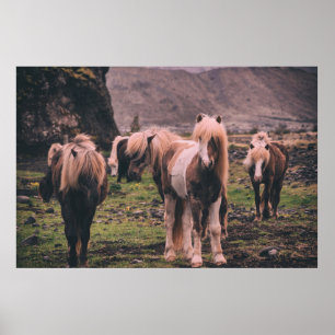 SHALLOW FOCUS PHOTOGRAPHY OF HORSES POSTER
