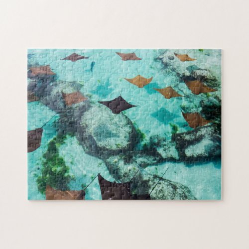 Shallow Water  Stingrays Jigsaw Puzzle