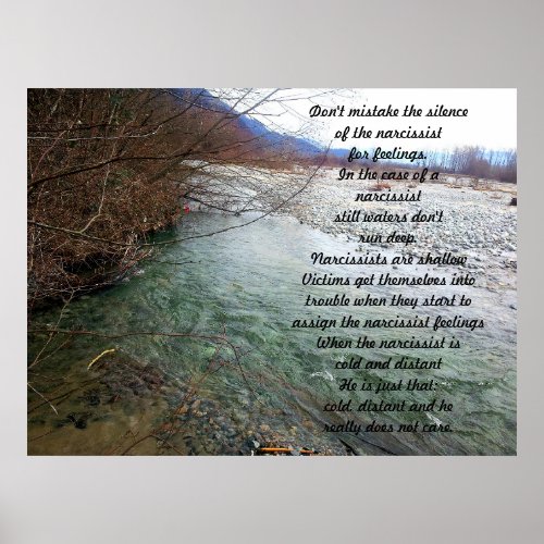 Shallow Waters _ Narcissist Poster