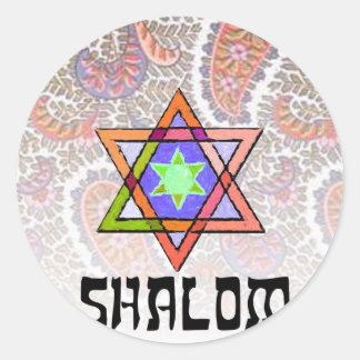 Shalom Pink Paisley Classic Round Sticker