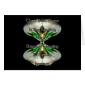 Shame and Ignorance (Front Horizontal)