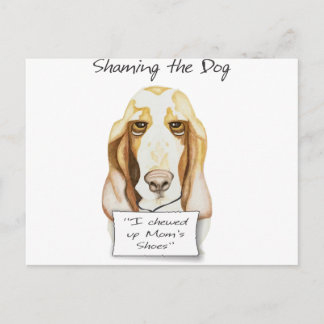 Shaming the Dog Basset Hound Postcard