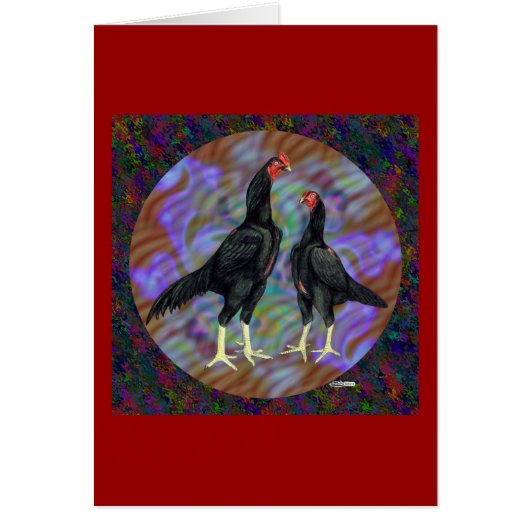 Shamo:  Black Pair (Front)