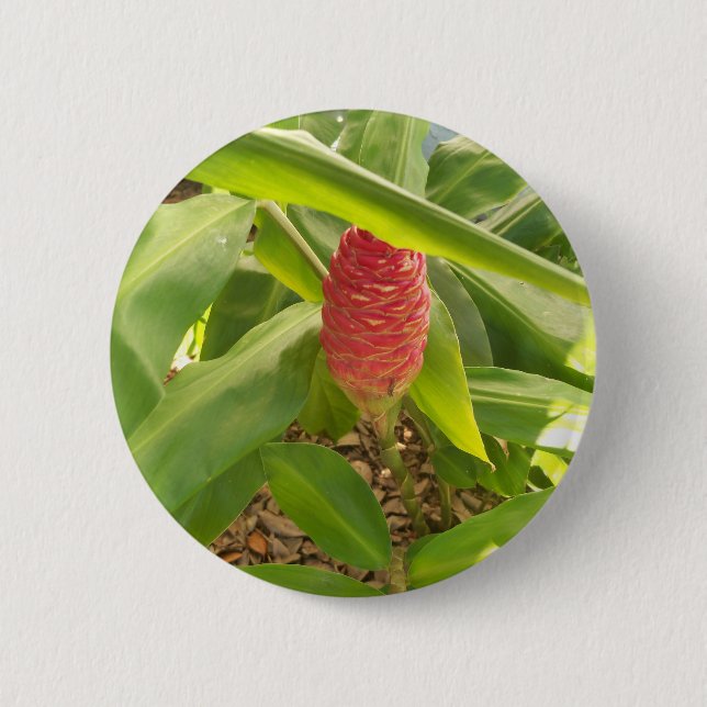 Shampoo Ginger flower Button (Front)