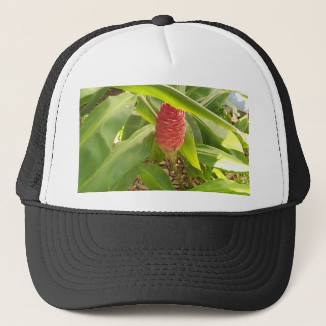 Shampoo Ginger flower Trucker Hat (Front)