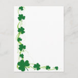 Shamrock Border Postcard