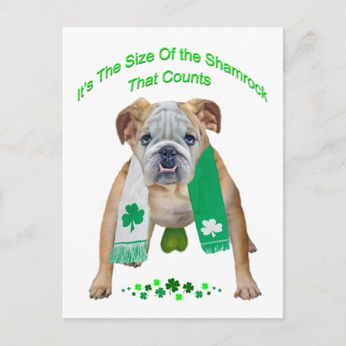 Shamrock Bulldog St Patricks Day Postcard