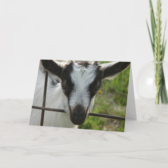 Shamrock Card (Front)