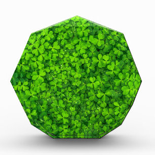 Shamrock Clovers Green Irish Symbol Ireland Award