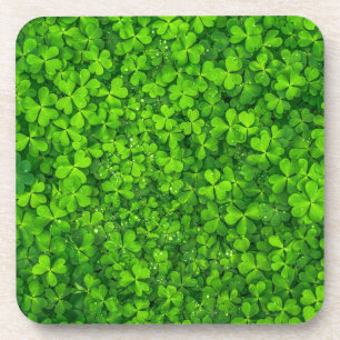 Shamrock Clovers Green Irish Symbol Ireland Drink Coaster