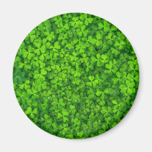 Shamrock Clovers Green Irish Symbol Ireland Magnet