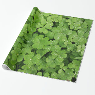 Shamrock green clover raindrops wrapping paper