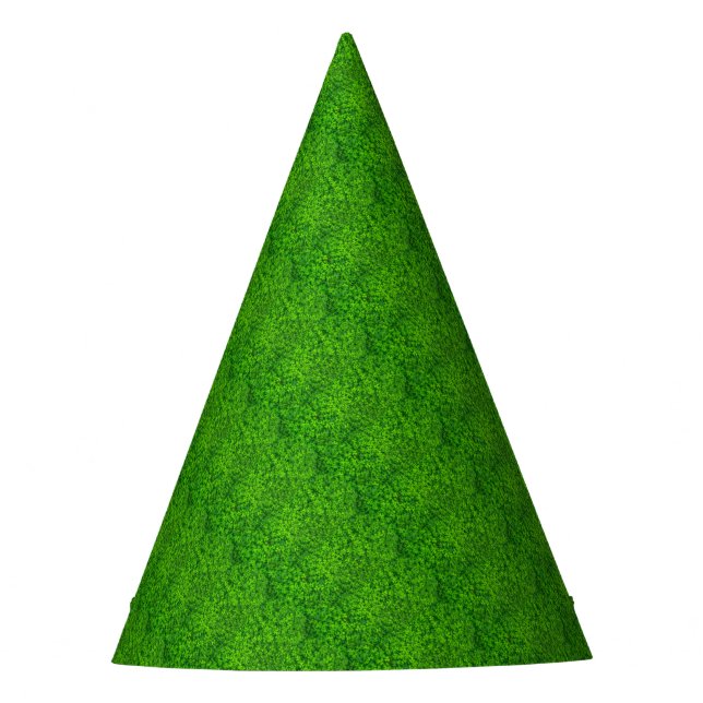 Shamrock Green Irish Saint Patricks Day Ireland Party Hat (Front)