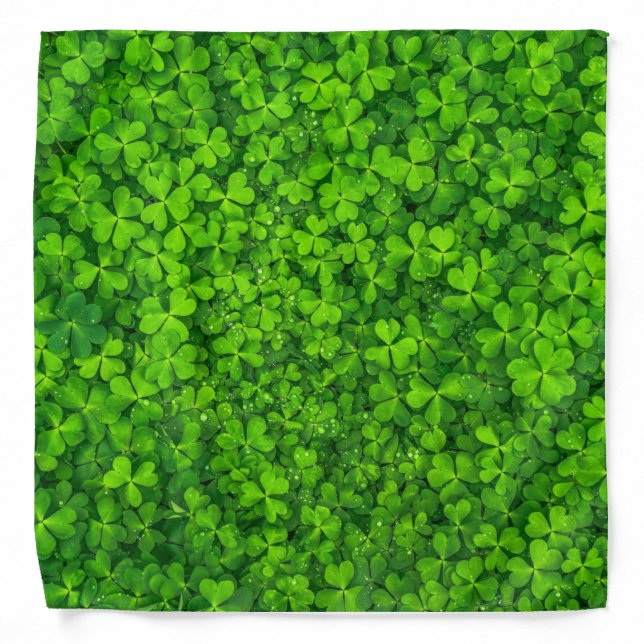 Shamrock green, St. Patrick's Day, Bandana (Front)