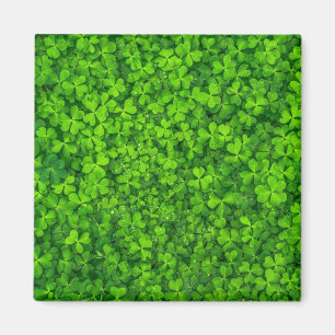 Shamrock green, St. Patrick's Day, Magnet