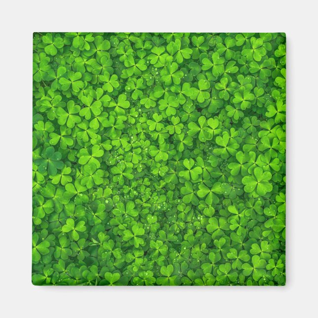 Shamrock green, St. Patrick's Day, Magnet (Front)