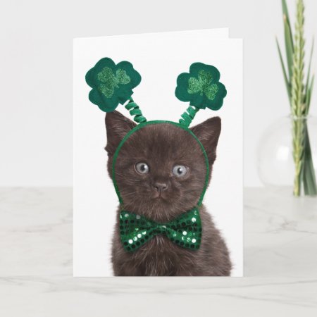 Shamrock Kitten Card