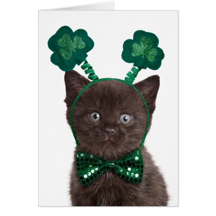 Shamrock Kitten Card