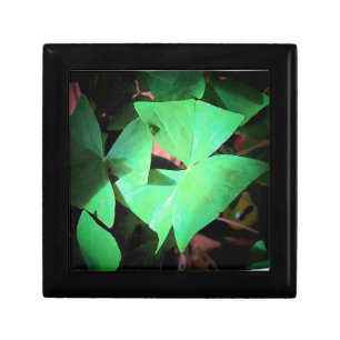 Shamrock Leaves box