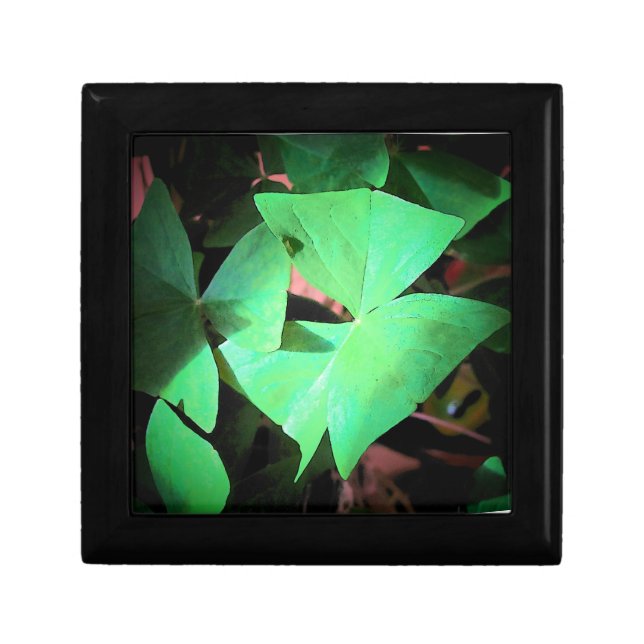 Shamrock Leaves box (Front)